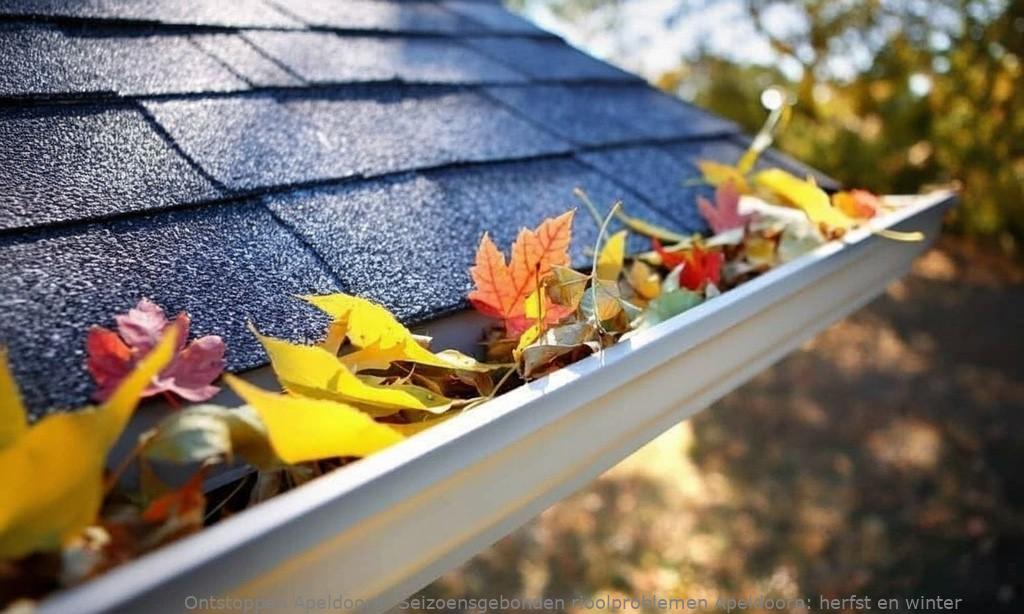 Seizoensgebonden rioolproblemen Apeldoorn: herfst en winter